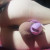 Profile picture of Sissy shannon