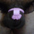 Profile picture of Phillip Birchfield Jr.