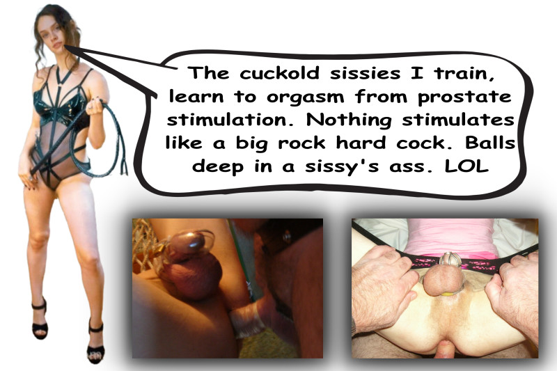 your-sissy-ass