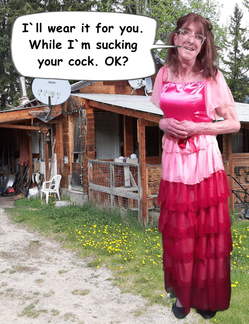 sissy-david-whyte-my-new-dress-1