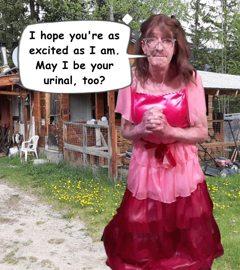 sissy-david-whyte-my-new-dress-3