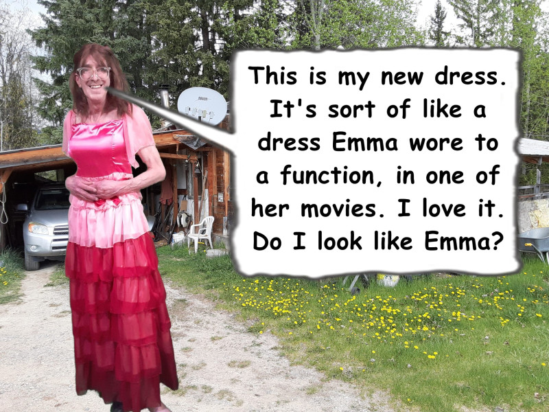 sissy-david-whyte-my-new-dress