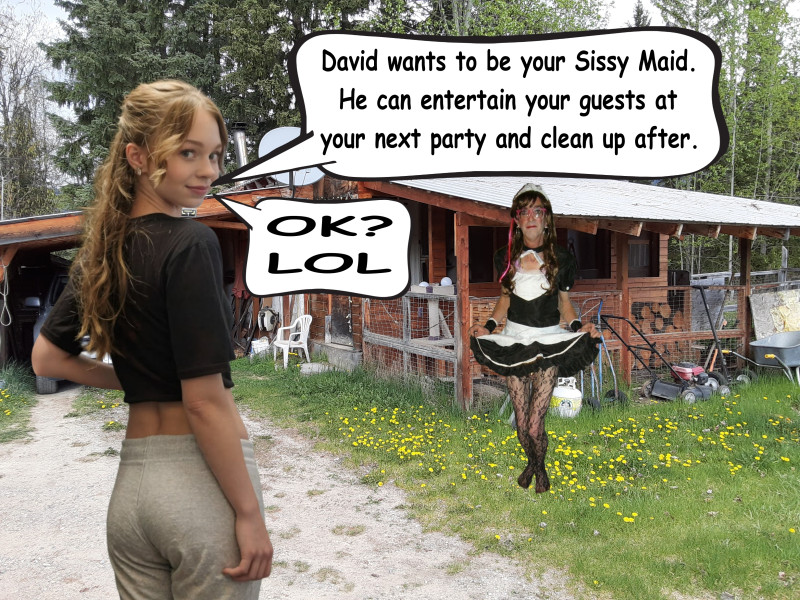 the-perfect-sissy-maid