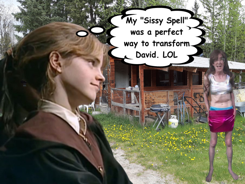 the-sissy-spell