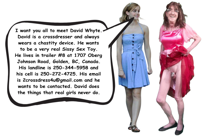 david-has-no-limits-2
