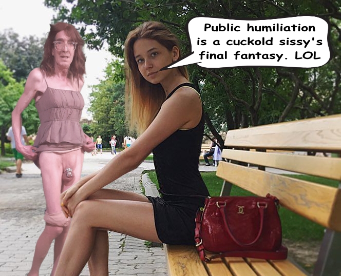 his-final-fantasy