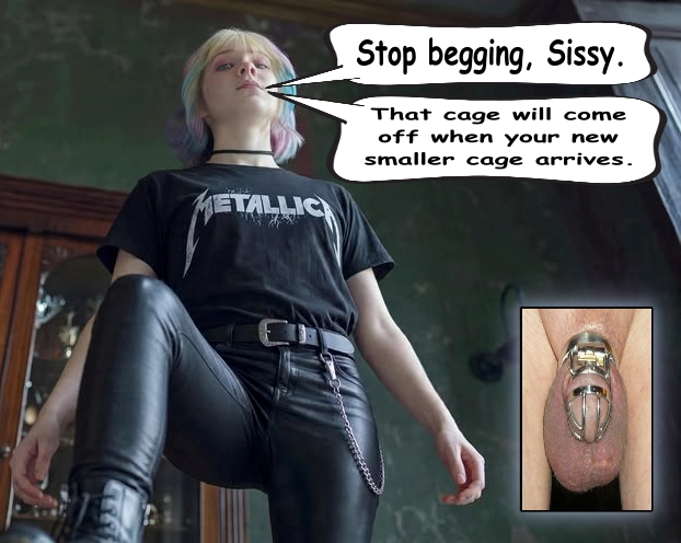 a-smaller-cage