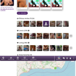 gay-cruising-pasivalmeria