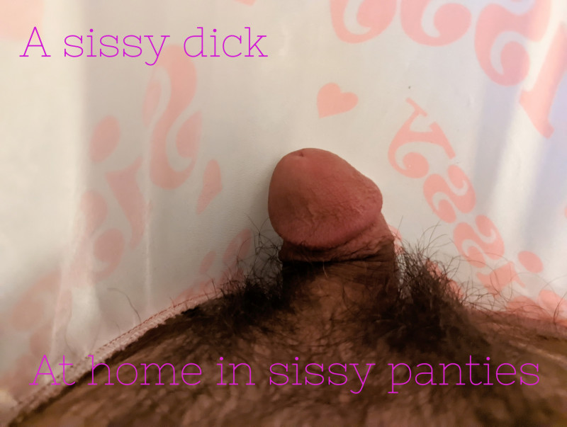 sissy-dick