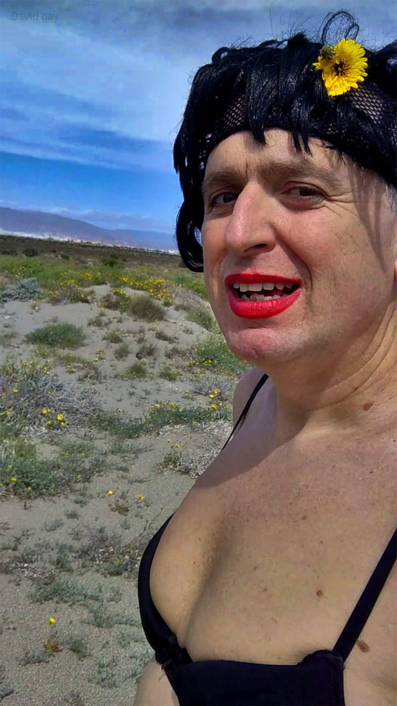 david-travesti-almeria