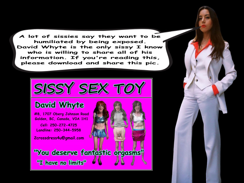 david-whyte-is-a-real-sissy-sex-toy