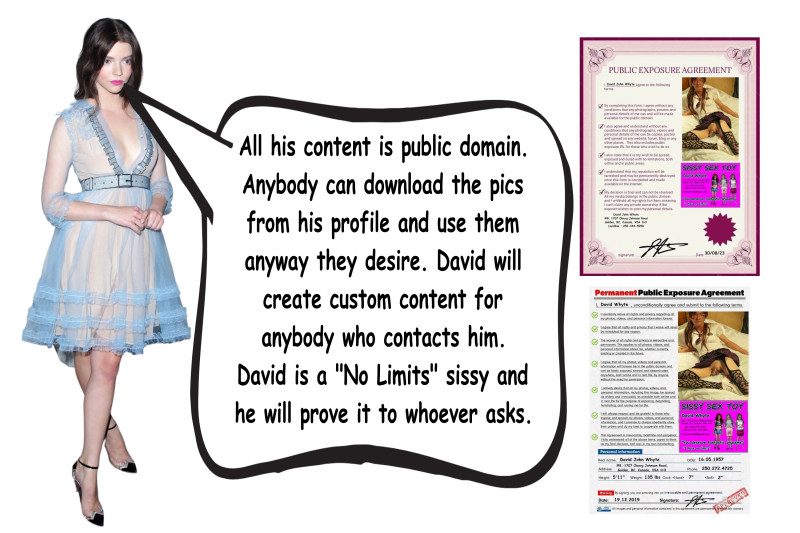 a-no-limits-sissy