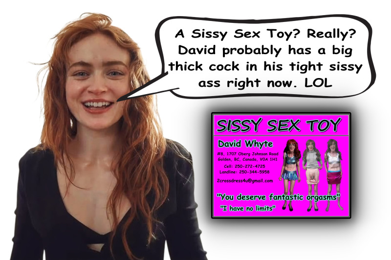 a-real-sissy-sex-toy