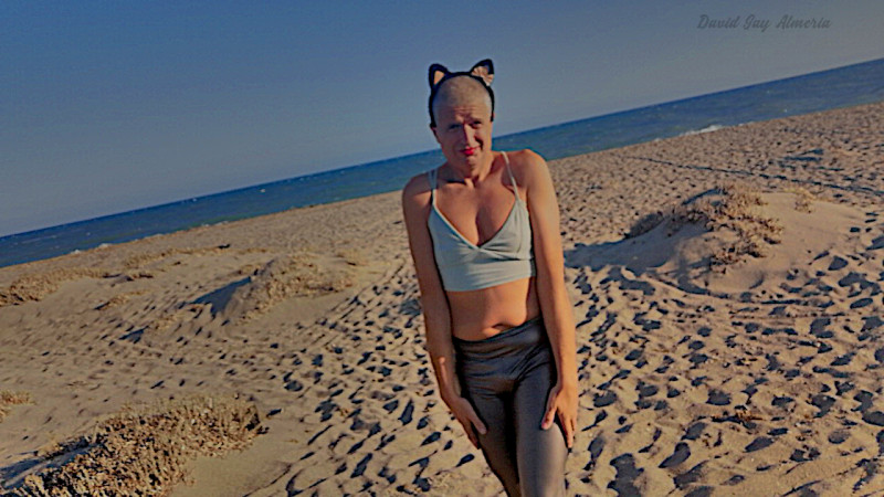 david-femenina-gay