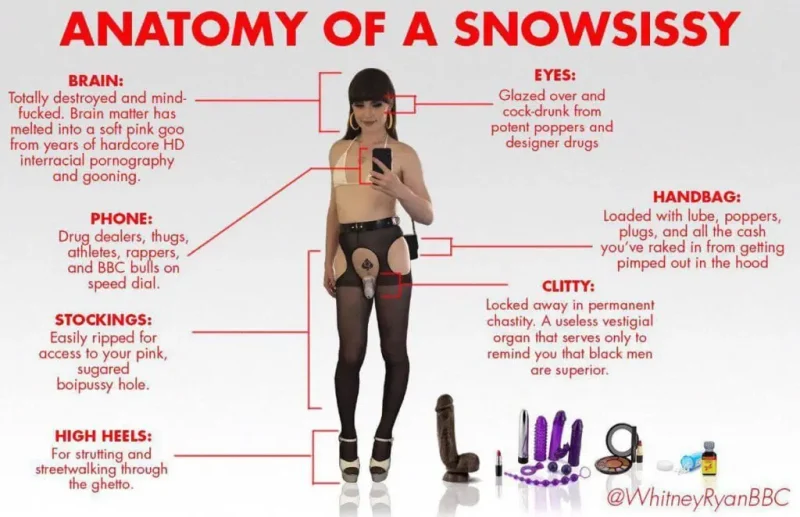 anatomy-of-a-snowsissy-1024x662