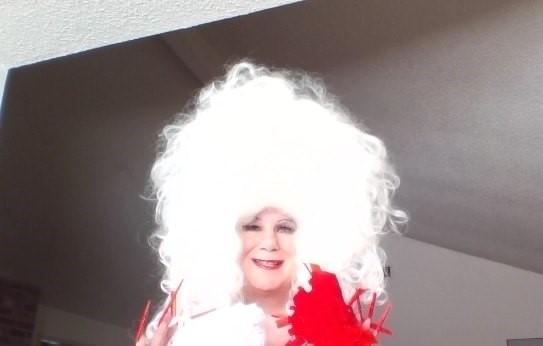 snapshot_20260302_208c