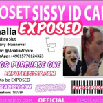 closetsissycard-analia-600x455