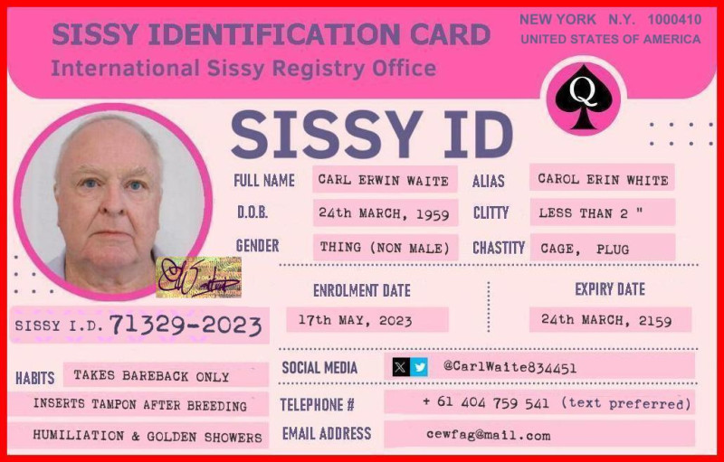 sissy-cunt4