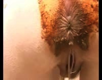 1000182818