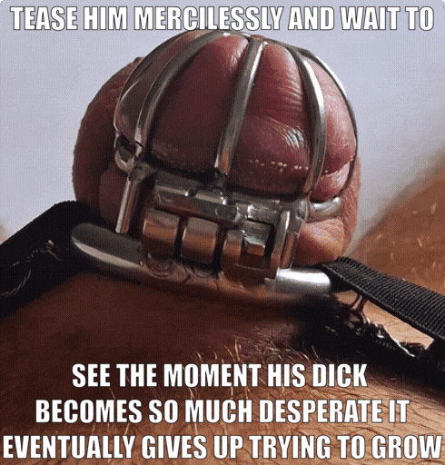 1000260139