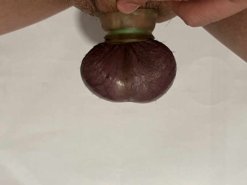 3113