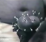 10821