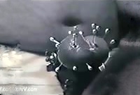 10821