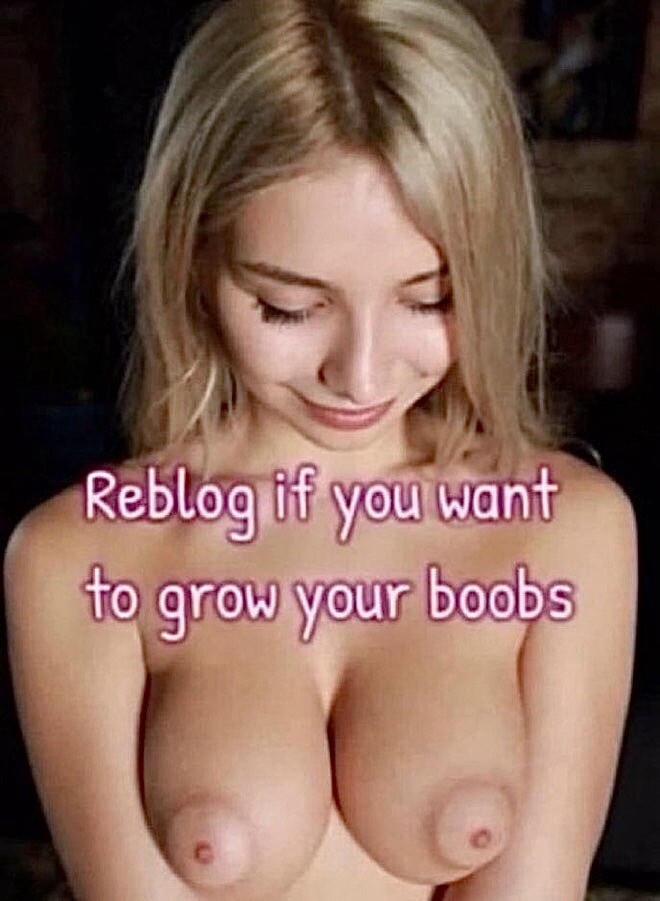 13676