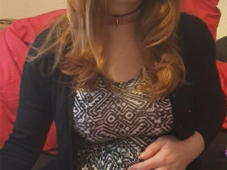 15564