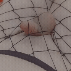 9325