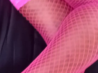 29446