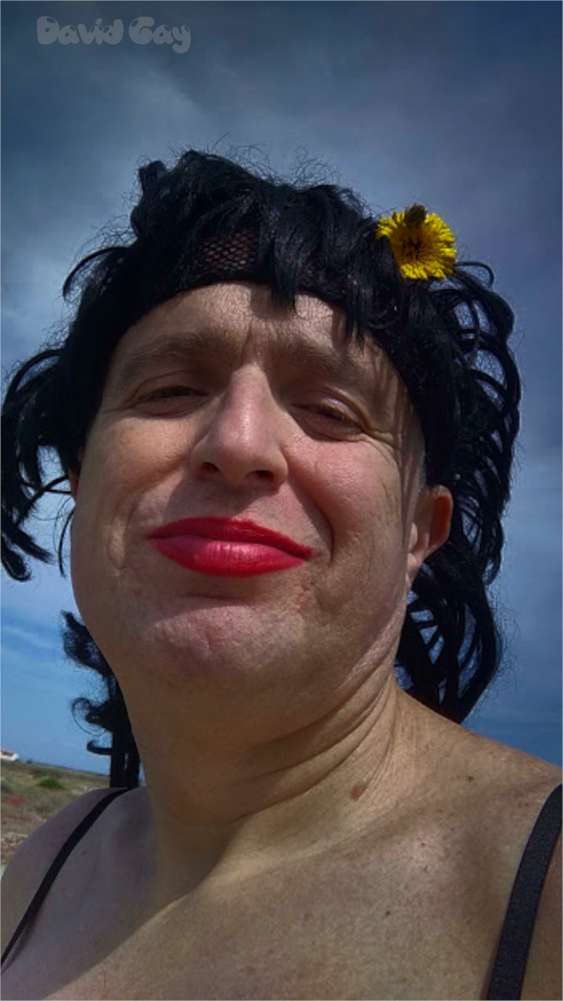 davicita-gay