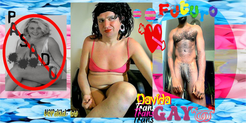 david-verdad