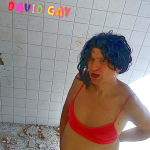 davilica-gay