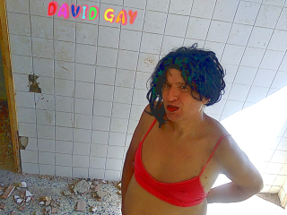Davilica Gay