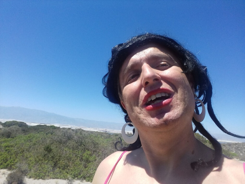 david-travestij