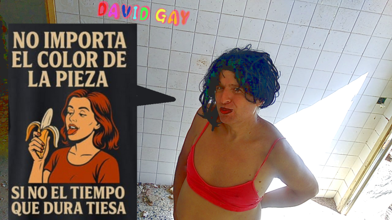 davilica-gay-2