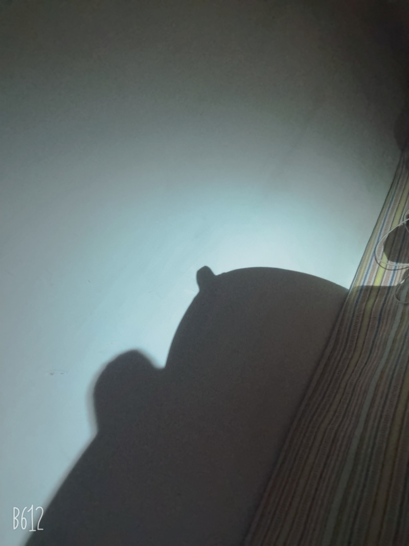 b612kaji_20231115_210948_266