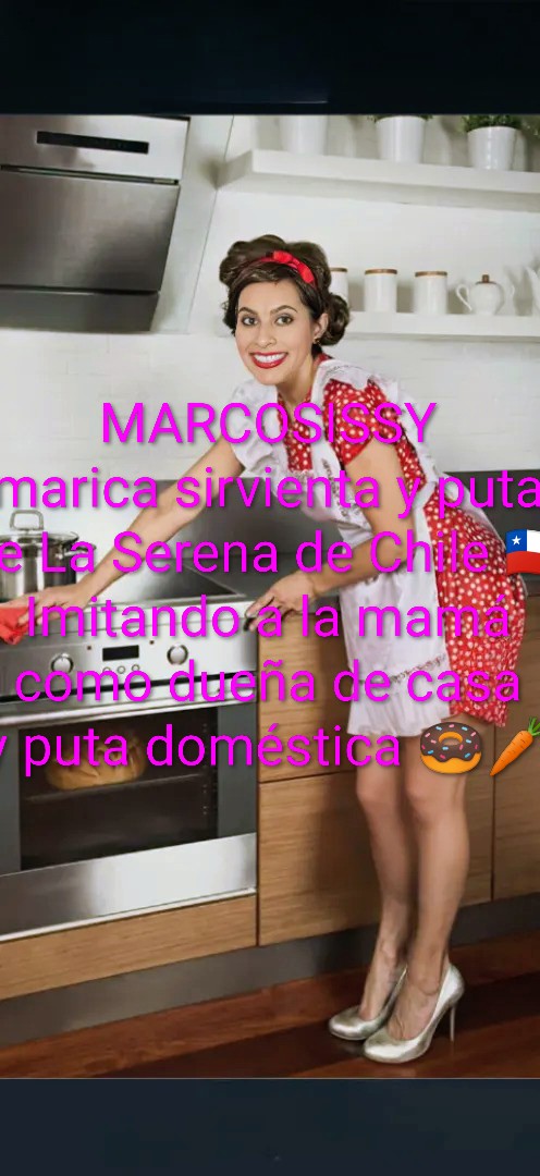 marcosissy-domestic-kitchen