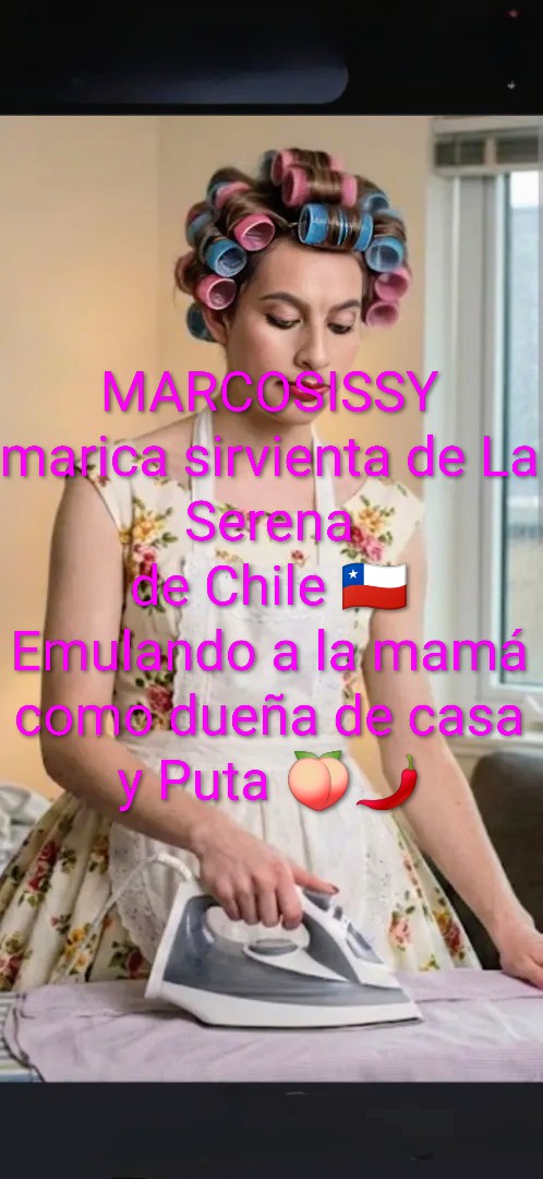marcosissy-domestic