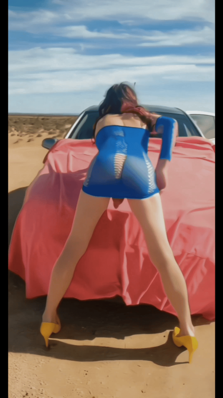 gif_20260211133828306