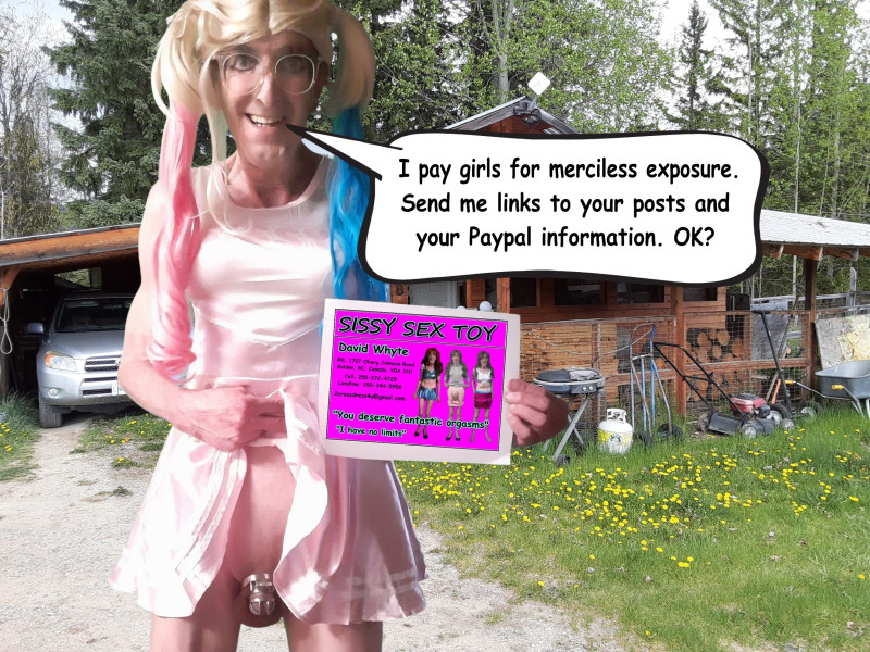 sissy-david-whyte-please-download-and-share-5