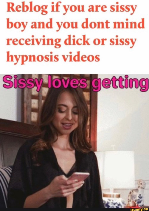 reblogsissy